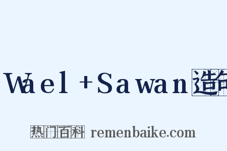 Wael+Sawan造句是什么意思的图片